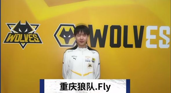 全新策略体