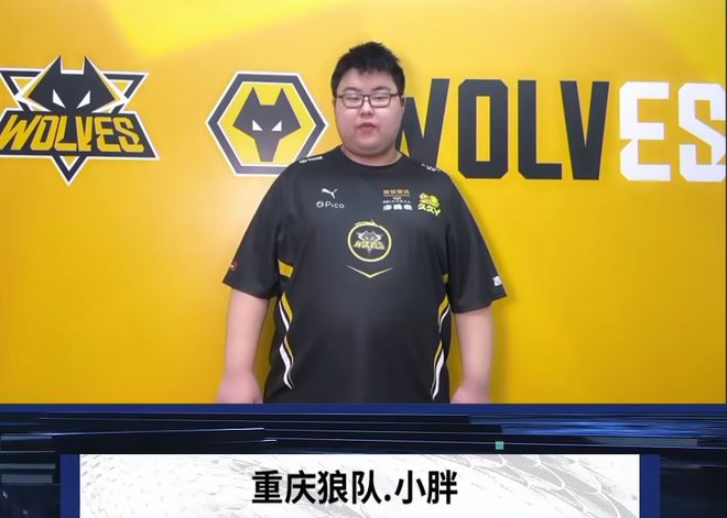 案例层面